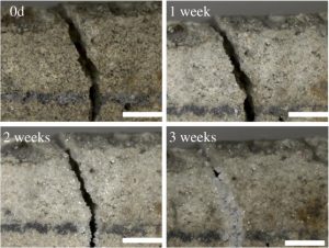 Innovations in Concrete: The Use of Self-Healing Concrete in Modern Construction Projects